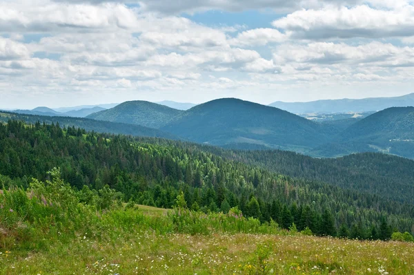 Paisaje de montaña en verano — Foto de Stock