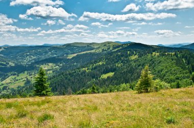 dağlarda yaz peyzaj