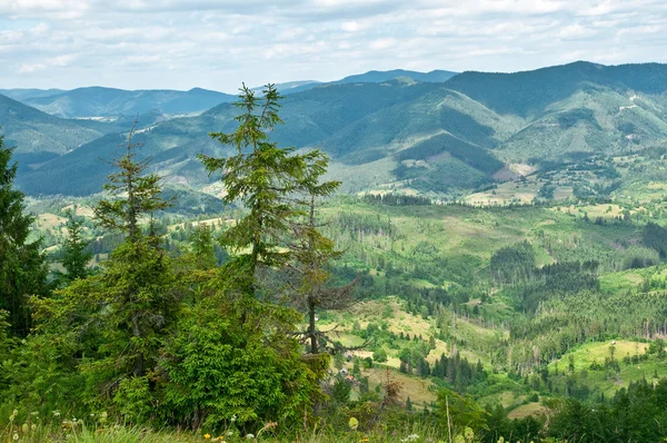 Lindas montanhas Paisagem — Fotografia de Stock