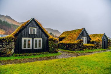 Skogar Çim Çiftliği, Skogaar, İzlanda - 11 Ekim 2025