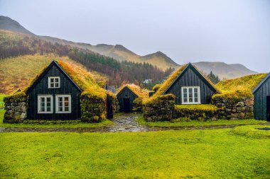 Skogar Çim Çiftliği, Skogaar, İzlanda - 11 Ekim 2025