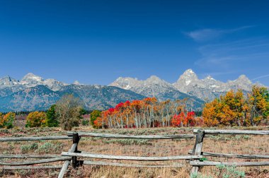 Şekil Değiştirme Şapeli. 1925 'te inşa edilmiş bir köy kilisesi. Teton Sıradağları' nı çerçevelemesi ve St. John Piskoposluk Kilisesi aracılığıyla yaz hizmetleri sunmasıyla tanınıyor..
