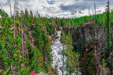 Yellowstone Ulusal Parkı, Wyoming 11 Ekim 06 Ekim 2011