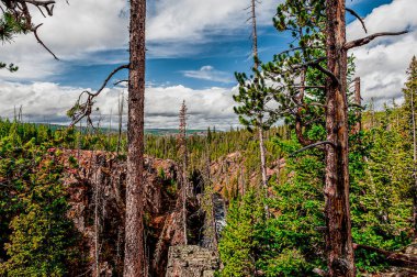 Yellowstone Ulusal Parkı, Wyoming 11 Ekim 06 Ekim 2011