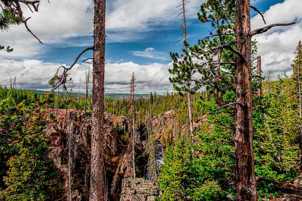 Yellowstone Ulusal Parkı, Wyoming 11 Ekim 06 Ekim 2011