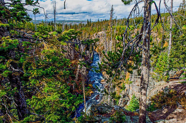 Yellowstone Ulusal Parkı, Wyoming 11 Ekim 06 Ekim 2011