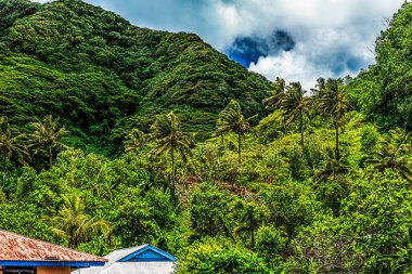 Pago Pago, Amerikan Samoası, 10 Şubat 2016: Şehir Sahnesi -