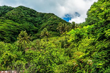 Pago Pago, Amerikan Samoası, 10 Şubat 2016: Şehir Sahnesi -