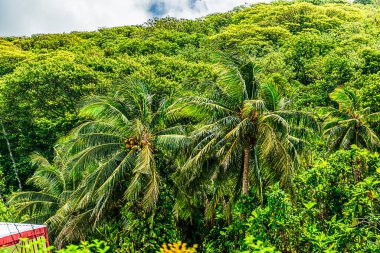 Pago Pago, Amerikan Samoası, 10 Şubat 2016: Şehir Sahnesi -