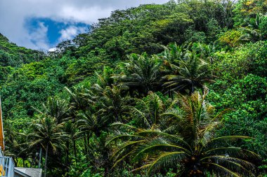 Pago Pago, Amerikan Samoası, 10 Şubat 2016: Şehir Sahnesi -