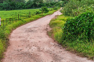 Moorea, Fransız Polinezyası, Şubat 05, 2016: İç Görünüm