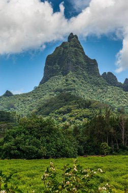 Moorea, Fransız Polinezyası, Şubat 05, 2016: İç Görünüm