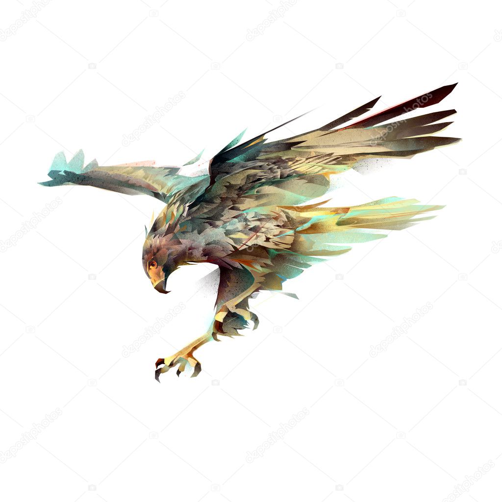 Drawn bright attacking eagle on a white background