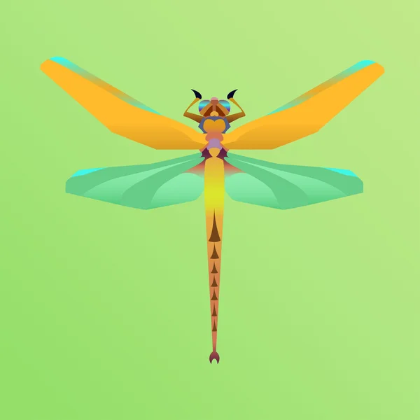 Insect dragonfly op een groene achtergrond — Stockvector