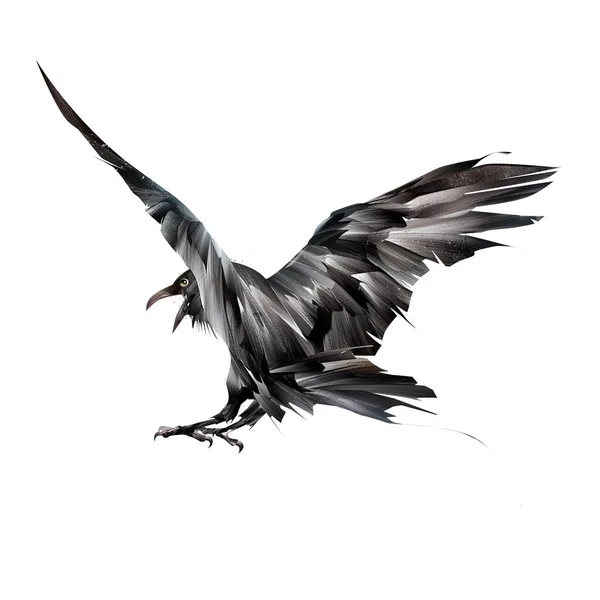 Corbeau oiseau foncé peint par derrière en vol — Photo