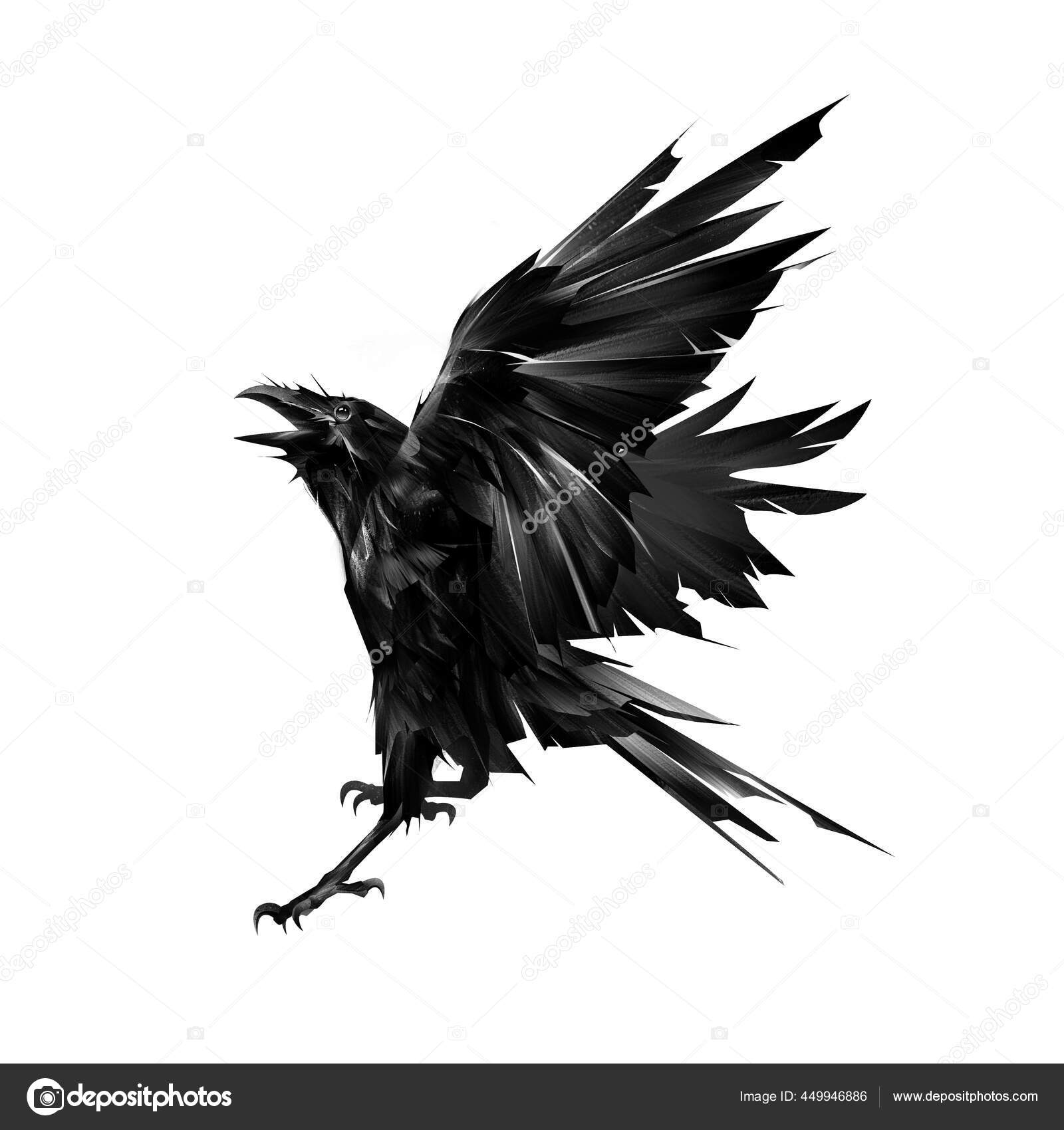 白い背景に空飛ぶカラスの鳥を描き — ストック写真 © khius #449946886, image size:1600x1700