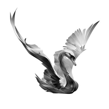 painted bird swan spreads its wings on a white background clipart