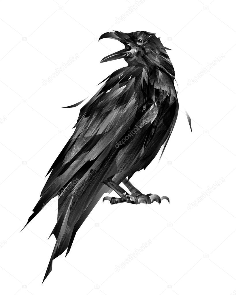 Sketch sitting bird raven on white background