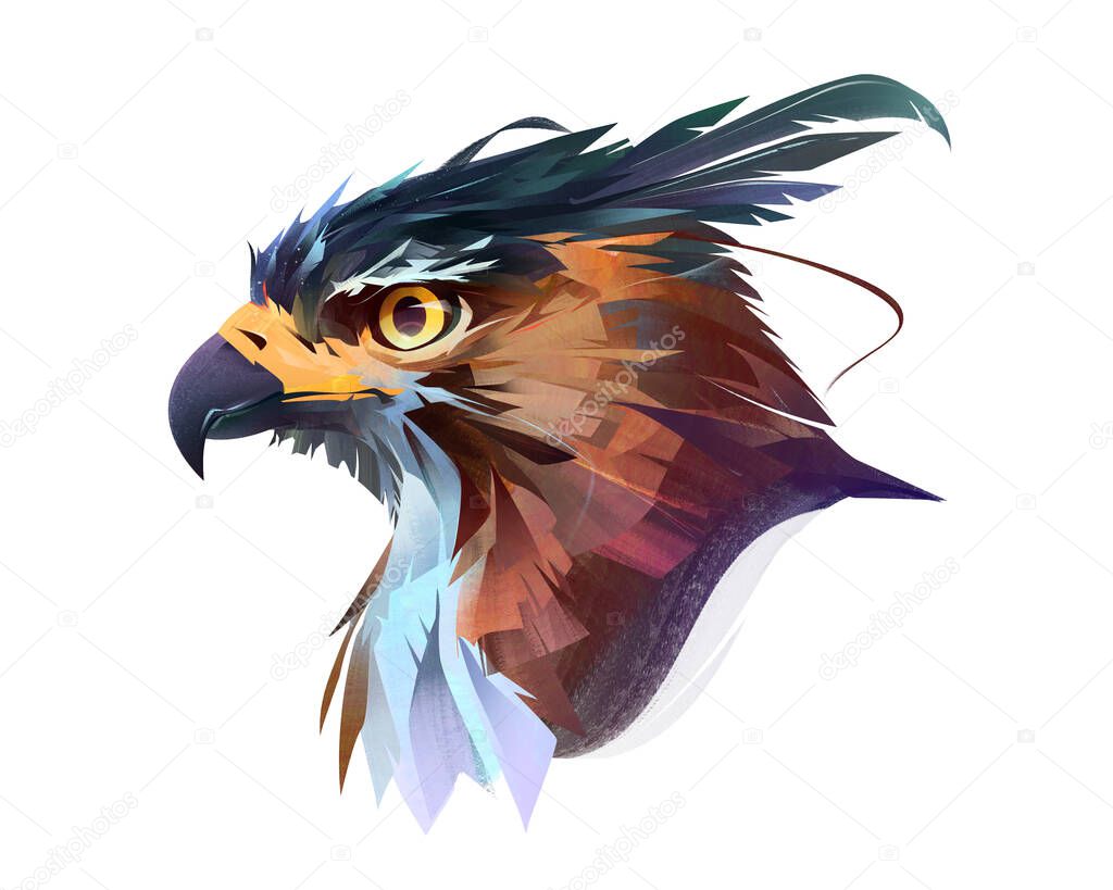 Art color bright bird of prey hawk portrait on white background