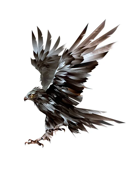 分離の飛ぶ鳥鷹塗装— ストックイラストレーション by © khius