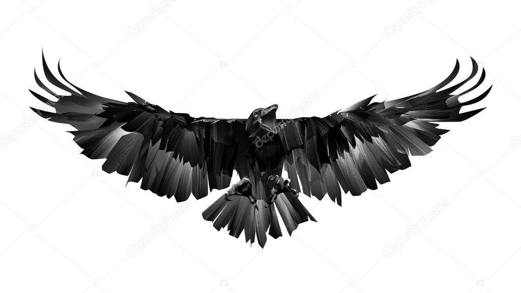 Sketch raven bird on white background with wingspan