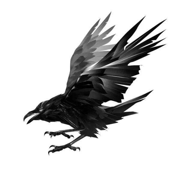 Oiseau peint corbeau volant sur un fond blanc — Photo