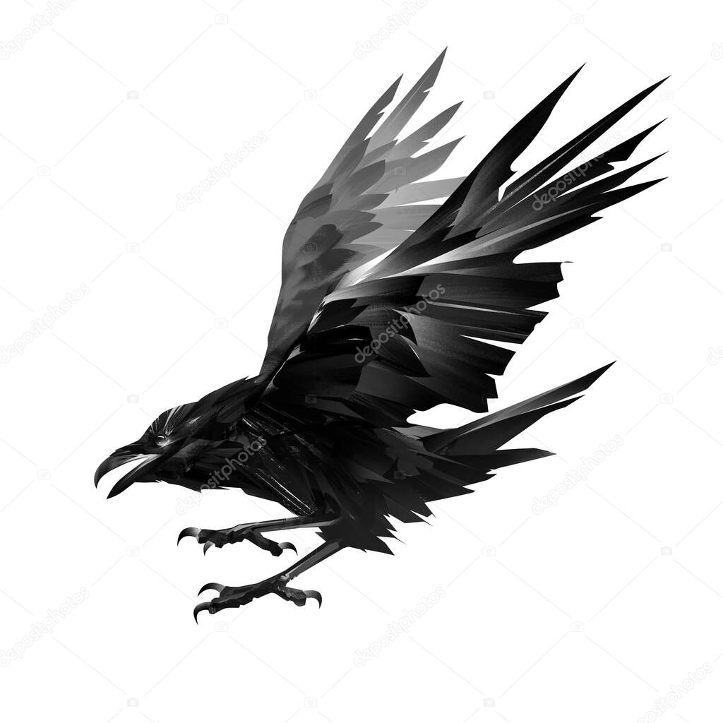 painted bird raven flying on a white background