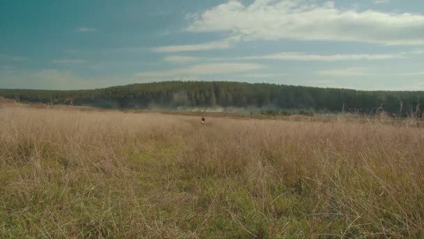 Petit garçon jouant au foot sur le terrain. Enfant courant à travers la prairie avec une balle. Campagne et forêt — Video