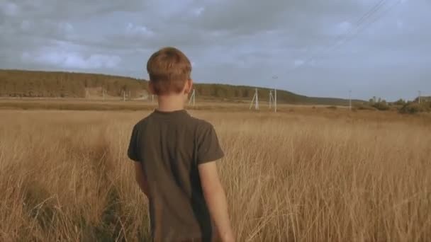 Маленький молодий мрійливий хлопчик, що йде на пікніку поле красивий пейзаж жовта трава — стокове відео