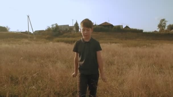 Маленький мечтательный мальчик, гуляющий по живописному полю, красивая желтая трава — стоковое видео