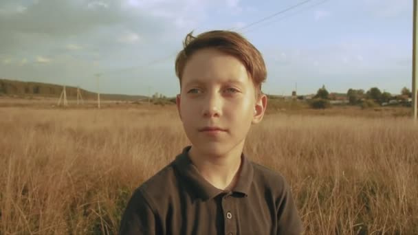 Fiatal álmodozó kisfiú mezőben portréja — Stock videók