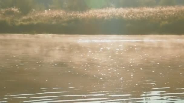 Piękny poranek rzeki pokrycie w haze — Wideo stockowe