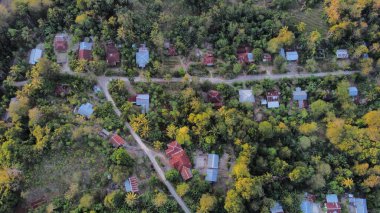 Bu tepeden tırnağa dikey perspektiften manzara soyut bir tabloya dönüşüyor. Toprağın zengin dokuları sahneye çıkar.