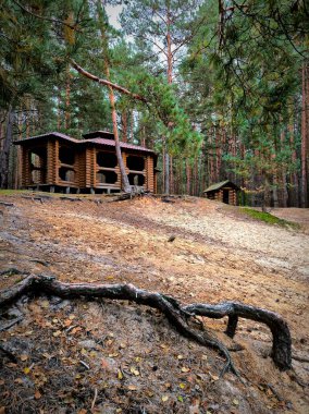 Ormandaki kumların üzerinde bir çardak.