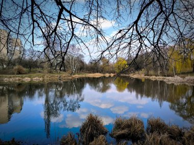 Baharda parkta küçük bir göl