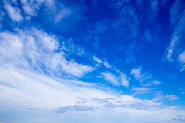 De Slufter, Hollanda, Texel adasında doğa rezervi, 5 Mayıs 2015, Unesco mirasının bir parçası.