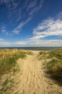 Texas sahilinde Vistara 'da, ufukta Kuzey Denizi var. Ön planda kum tepelerindeki marram çimlerini görüyorsunuz..