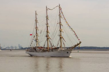 Antwerp limanından gelen uzun gemiler ve botlar Antwerp 2016 etkinliği sırasında Batı Scheldt 'te denize açıldı..