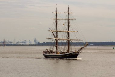 Antwerp limanından gelen uzun gemiler ve botlar Antwerp 2016 etkinliği sırasında Batı Scheldt 'te denize açıldı..