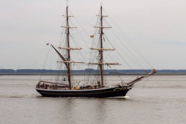 Antwerp limanından gelen uzun gemiler ve botlar Antwerp 2016 etkinliği sırasında Batı Scheldt 'te denize açıldı..