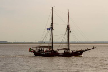 Antwerp limanından gelen uzun gemiler ve botlar Antwerp 2016 etkinliği sırasında Batı Scheldt 'te denize açıldı..