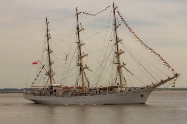 Antwerp limanından gelen uzun gemiler ve botlar Antwerp 2016 etkinliği sırasında Batı Scheldt 'te denize açıldı..