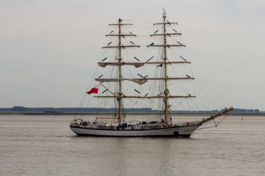 Antwerp limanından gelen uzun gemiler ve botlar Antwerp 2016 etkinliği sırasında Batı Scheldt 'te denize açıldı..