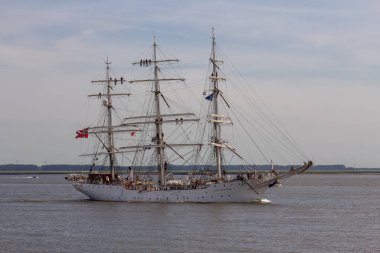 Antwerp limanından gelen uzun gemiler ve botlar Antwerp 2016 etkinliği sırasında Batı Scheldt 'te denize açıldı..