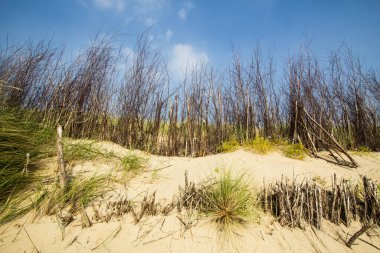 Sonbahar mevsiminde Vlissingen, Zeeland 'de deniz manzarası ve kumul manzarası.