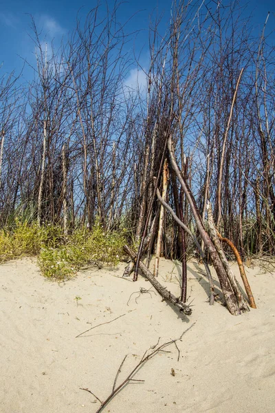Sonbahar mevsiminde Vlissingen, Zeeland 'de deniz manzarası ve kumul manzarası.