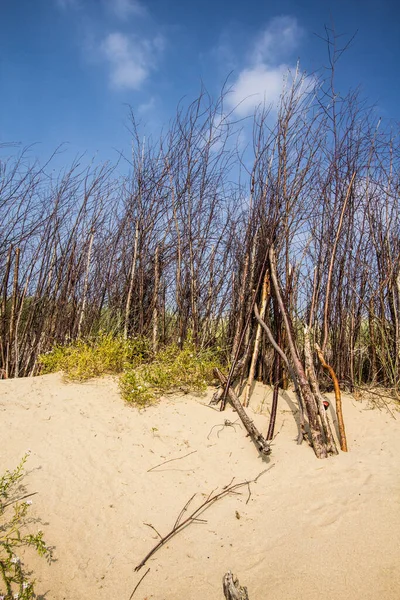 Sonbahar mevsiminde Vlissingen, Zeeland 'de deniz manzarası ve kumul manzarası.