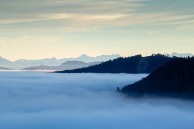 Avusturya 'daki dağların tepelerinden gün batımına kadar uzanan manzara. Ormana ve vadideki sisli bulutlara bakıyorum..