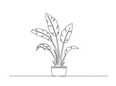 İç taslak çizimi için saksı çiçeği. Bahçıvanlık konsepti için saksı bitkisinin sürekli çizimi.
