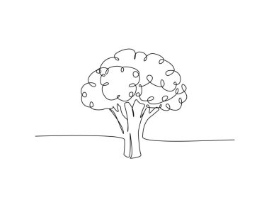 Tek bir taslak çizimde taze brokoli. Sürekli brokoli sebzesi çizimi.